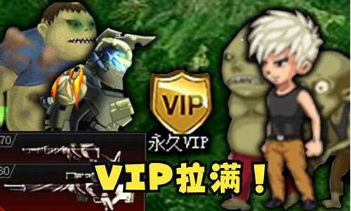 小说源码 vip